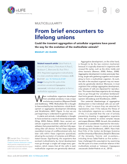 From brief encounters to lifelong unions | eLife