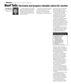 Beef Talk - Angus Beef Bulletin