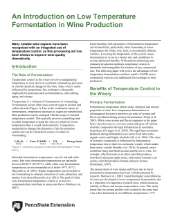 An Introduction on Low Temperature Fermentation in Wine Production