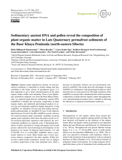 Sedimentary ancient DNA and pollen reveal the composition of plant