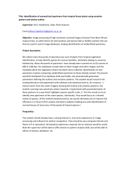 Identification of scanned leaf specimens from tropical forest plants