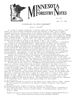 Cytotechniques for Spruce Chromosomes
