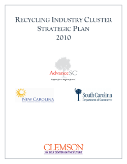 Recycling Industry Cluster Strategic Plan 2010