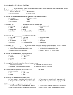 Practice Questions Ch 7: (Sensory physiology) 1. ______ is the