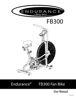 Endurance&reg; FB300 Fan Bike