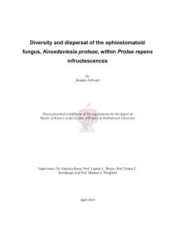 Diversity and dispersal of the ophiostomatoid fungus, Knoxdaviesia