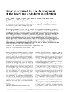 Gata5 is required for the development of the heart and endoderm in