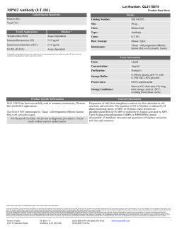 MPM2 Antibody (0.T.181) - Thermo Fisher Scientific