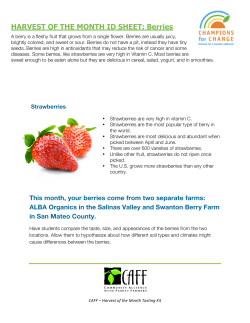 HARVEST OF THE MONTH ID SHEET: Berries