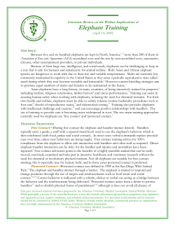 Elephant Training ______ - American Veterinary Medical Association