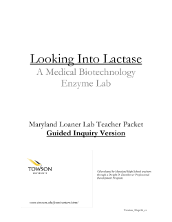 Looking Into Lactase