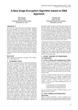 A New Image Encryption Algorithm based on DNA