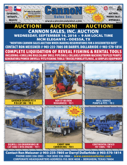 cannon sales, inc. auction