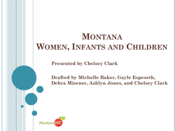 Women, Infant, and Children`s program