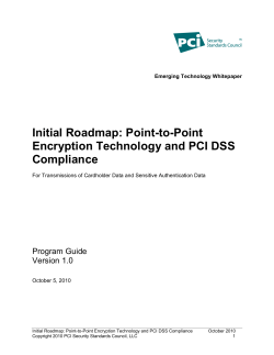 Initial Roadmap: Point-to-Point Encryption Technology and PCI DSS