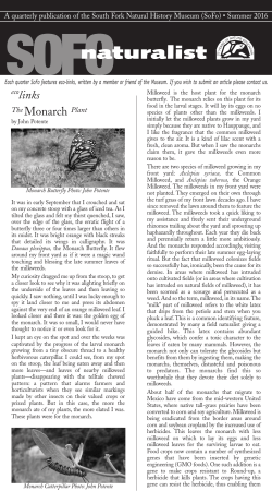 links The Monarch Plant - South Fork Natural History Museum