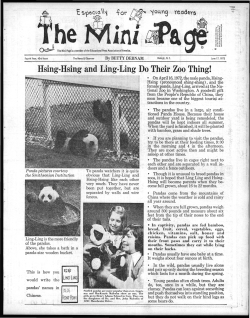 Hsing-Hsing ,and Ling-Ling Do Their Zoo Thing!