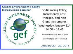 Focal Area and Cross Cutting Strategies &ndash; Chemicals