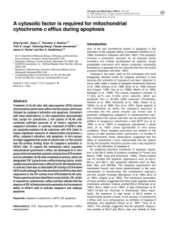 A cytosolic factor is required for mitochondrial cytochrome c