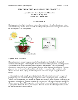 spectroscopic analysis of chlorophyll