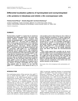 Differential localization patterns of myristoylated
