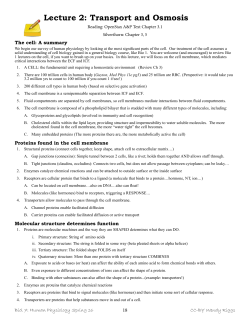 Packet 2