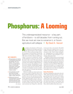 Phosphorus: A Looming Crisis