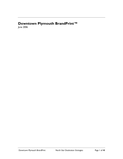 Downtown Plymouth BrandPrint&trade;