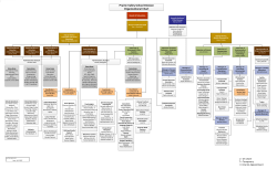Prairie Valley SD Organizational Chart