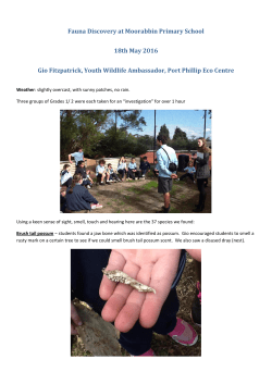 to read about our Fauna discovery.