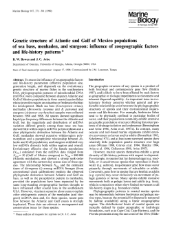 Genetic structure of Atlantic and Gulf of Mexico populations of sea