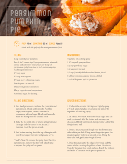 persimmon pumpkin pie