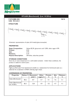 P-XYLNBE 20G DATA