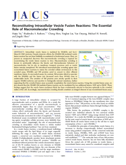 Reconstituting Intracellular Vesicle Fusion
