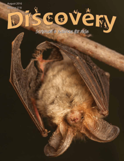 Amazing Built-in Abilities