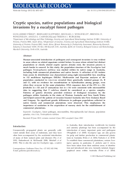 Cryptic species, native populations and biological invasions