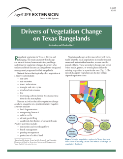 Drivers of Vegetation Change on Texas Rangelands