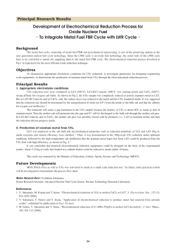 Annual Research Report 2006