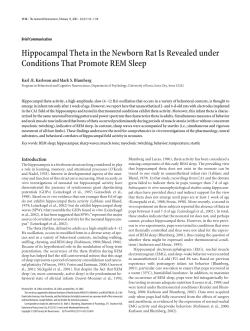 Hippocampal Theta in the Newborn Rat Is Revealed under