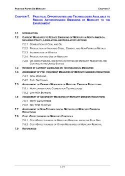 Ambient Air Pollution by Mercury (Hg) - Position Paper