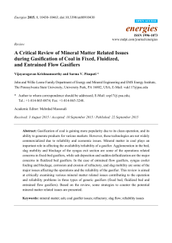 A Critical Review of Mineral Matter Related Issues during