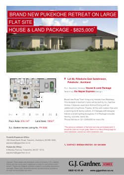 Brand New Pukekohe Retreat on large flat site