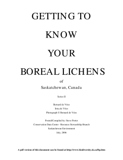 getting to know your boreal lich en s