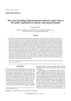 The costae presenting in high-temperature