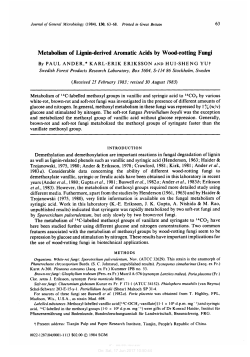 Metabolism of Lignin-derived Aromatic Acids by Wood