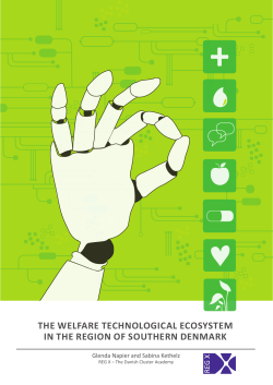 the welfare technological ecosystem in the region of southern
