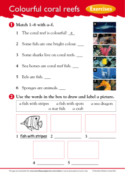 Colourful coral reefs Exercises