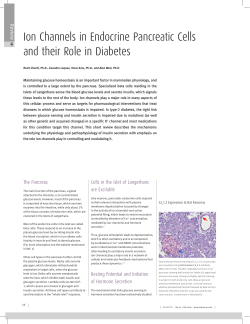 Ion Channels in Endocrine Pancreatic Cells and their Role in Diabetes
