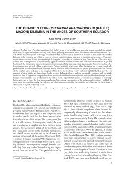 the bracken fern - Society for Tropical Ecology