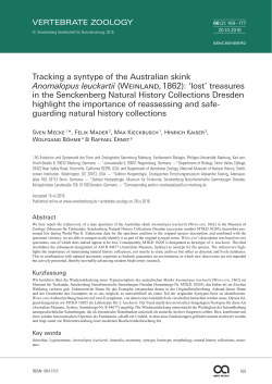 Tracking a syntype of the Australian skink Anomalopus leuckartii